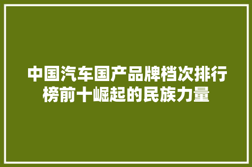 中国汽车国产品牌档次排行榜前十崛起的民族力量
