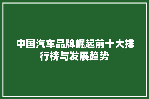 中国汽车品牌崛起前十大排行榜与发展趋势