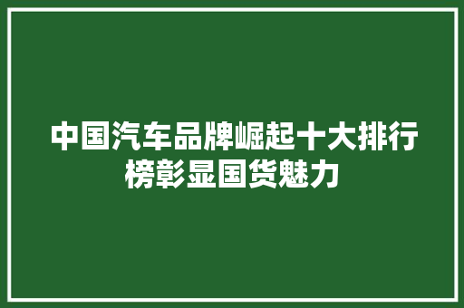 中国汽车品牌崛起十大排行榜彰显国货魅力