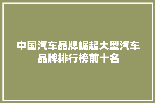 中国汽车品牌崛起大型汽车品牌排行榜前十名
