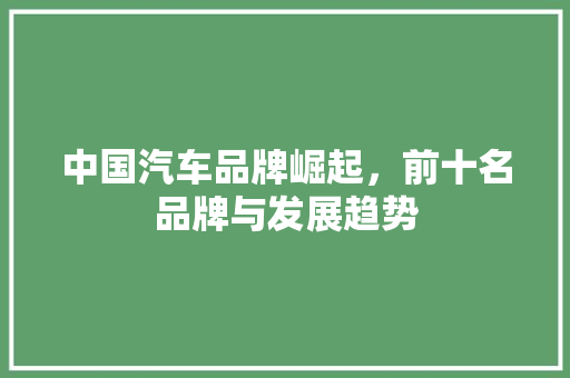 中国汽车品牌崛起，前十名品牌与发展趋势