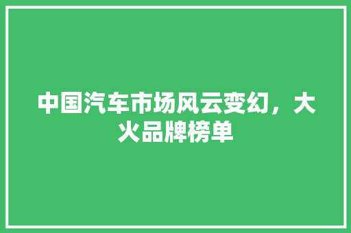 中国汽车市场风云变幻，大火品牌榜单