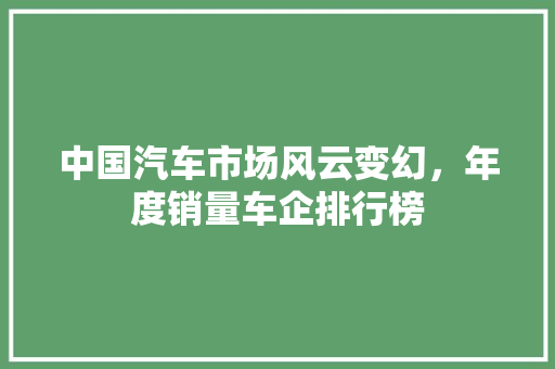 中国汽车市场风云变幻，年度销量车企排行榜