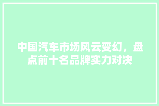 中国汽车市场风云变幻，盘点前十名品牌实力对决