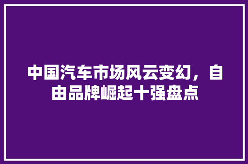 中国汽车市场风云变幻，自由品牌崛起十强盘点