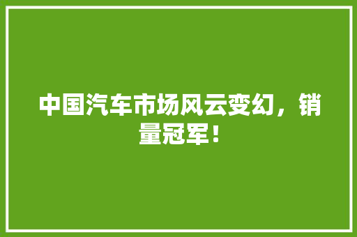 中国汽车市场风云变幻，销量冠军！