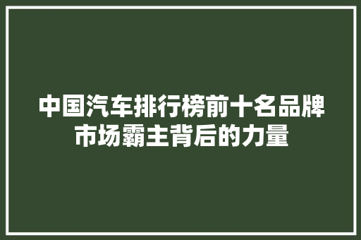中国汽车排行榜前十名品牌市场霸主背后的力量