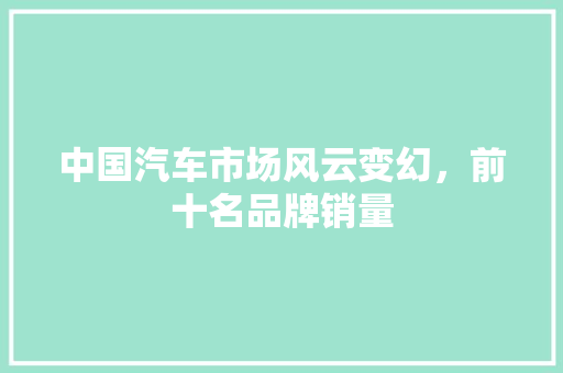 中国汽车市场风云变幻，前十名品牌销量