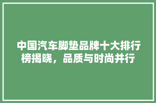 中国汽车脚垫品牌十大排行榜揭晓，品质与时尚并行
