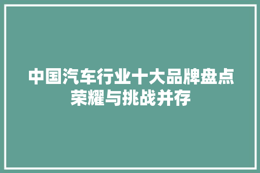 中国汽车行业十大品牌盘点荣耀与挑战并存