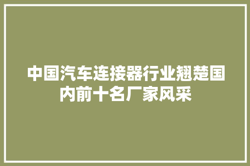 中国汽车连接器行业翘楚国内前十名厂家风采