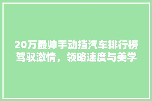 20万最帅手动挡汽车排行榜驾驭激情，领略速度与美学的完美融合