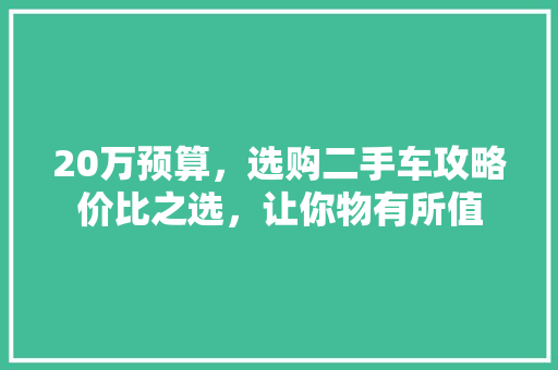 20万预算，选购二手车攻略价比之选，让你物有所值