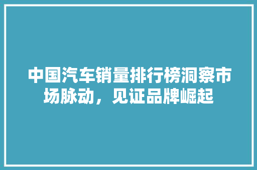 中国汽车销量排行榜洞察市场脉动，见证品牌崛起