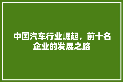 中国汽车行业崛起，前十名企业的发展之路