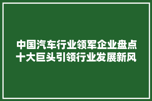 中国汽车行业领军企业盘点十大巨头引领行业发展新风向