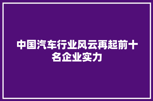 中国汽车行业风云再起前十名企业实力