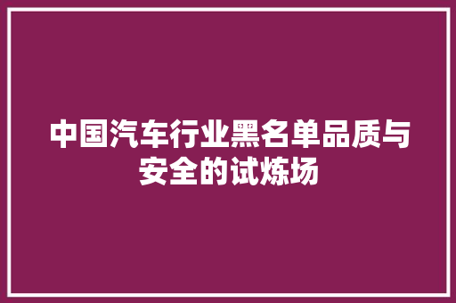 中国汽车行业黑名单品质与安全的试炼场