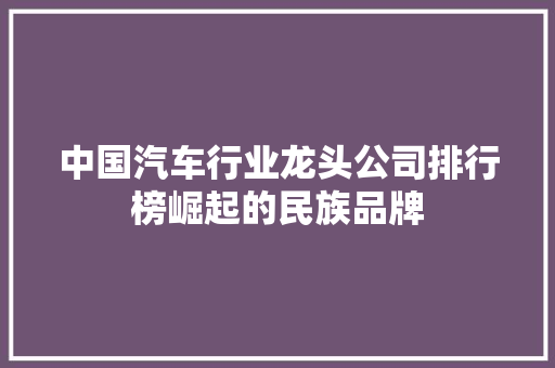 中国汽车行业龙头公司排行榜崛起的民族品牌