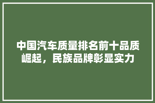 中国汽车质量排名前十品质崛起，民族品牌彰显实力