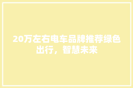 20万左右电车品牌推荐绿色出行，智慧未来