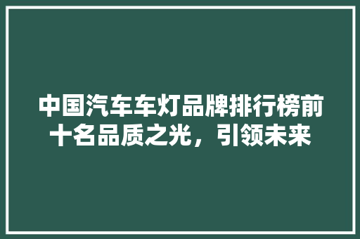 中国汽车车灯品牌排行榜前十名品质之光，引领未来