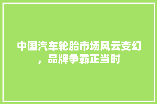 中国汽车轮胎市场风云变幻，品牌争霸正当时