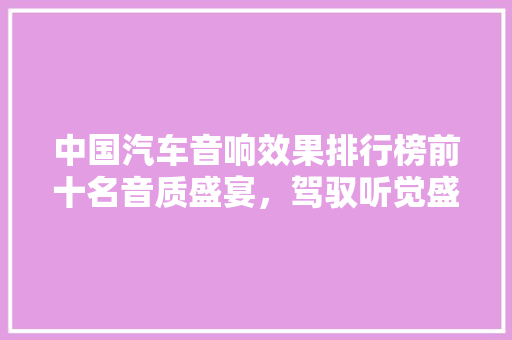 中国汽车音响效果排行榜前十名音质盛宴，驾驭听觉盛宴