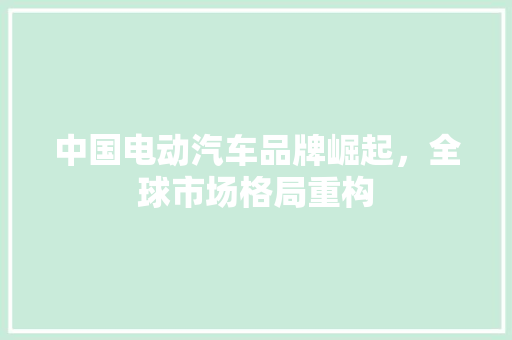 中国电动汽车品牌崛起，全球市场格局重构