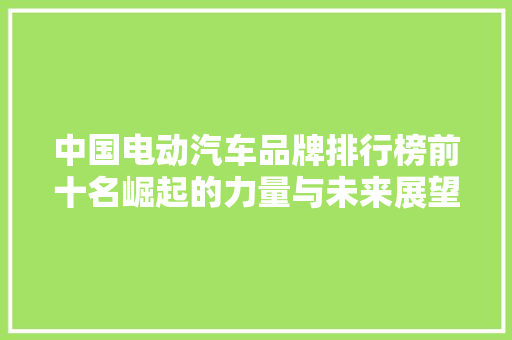 中国电动汽车品牌排行榜前十名崛起的力量与未来展望
