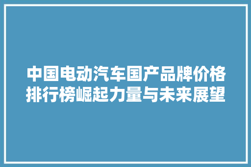 中国电动汽车国产品牌价格排行榜崛起力量与未来展望