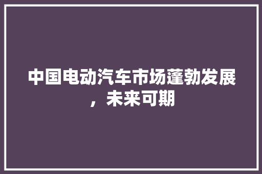 中国电动汽车市场蓬勃发展，未来可期