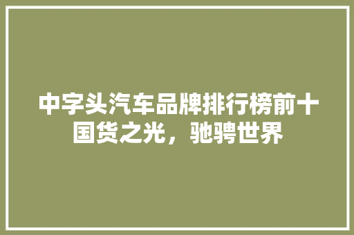 中字头汽车品牌排行榜前十国货之光，驰骋世界