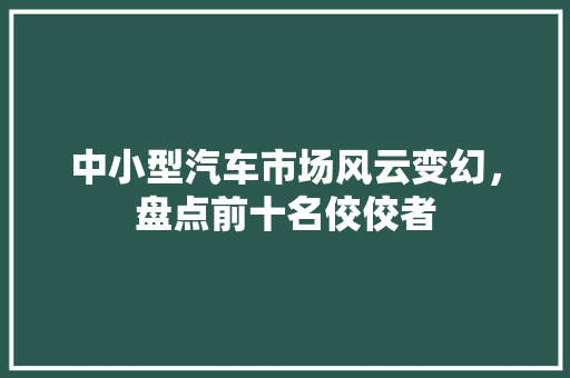 中小型汽车市场风云变幻，盘点前十名佼佼者