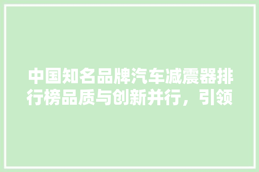 中国知名品牌汽车减震器排行榜品质与创新并行，引领行业潮流