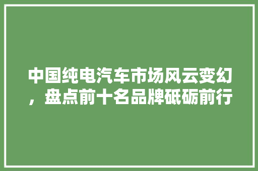 中国纯电汽车市场风云变幻，盘点前十名品牌砥砺前行