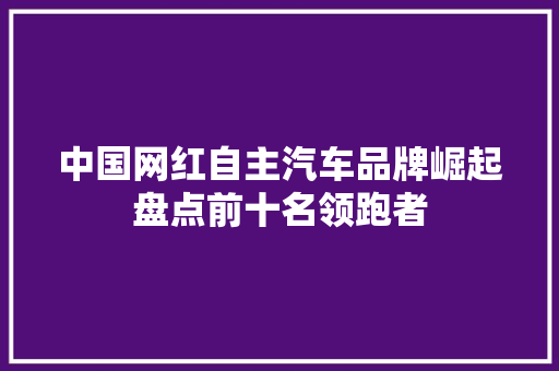 中国网红自主汽车品牌崛起盘点前十名领跑者