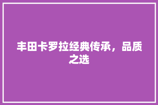 丰田卡罗拉经典传承，品质之选