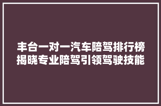 丰台一对一汽车陪驾排行榜揭晓专业陪驾引领驾驶技能新潮流