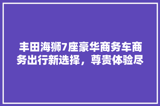 丰田海狮7座豪华商务车商务出行新选择，尊贵体验尽享