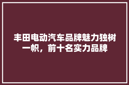 丰田电动汽车品牌魅力独树一帜，前十名实力品牌