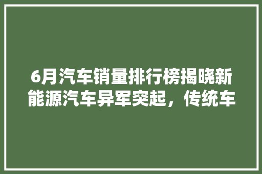 6月汽车销量排行榜揭晓新能源汽车异军突起，传统车企面临挑战