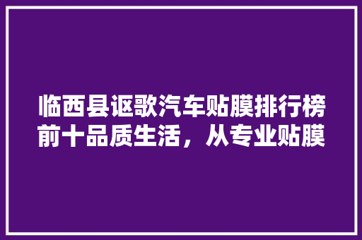 临西县讴歌汽车贴膜排行榜前十品质生活，从专业贴膜开始