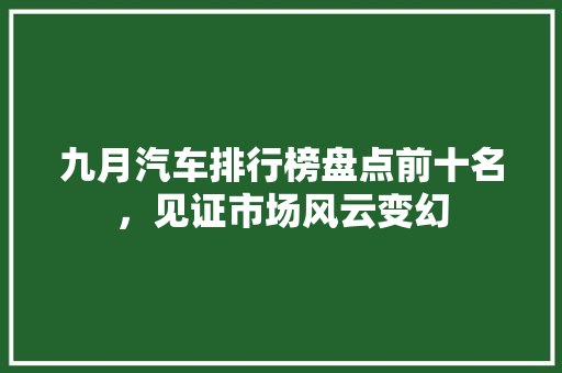 九月汽车排行榜盘点前十名，见证市场风云变幻