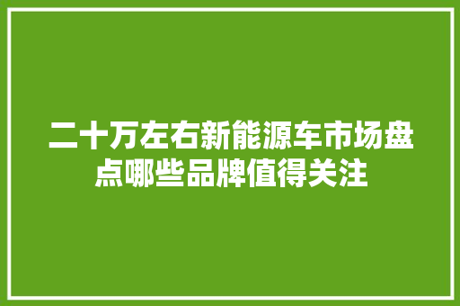 二十万左右新能源车市场盘点哪些品牌值得关注