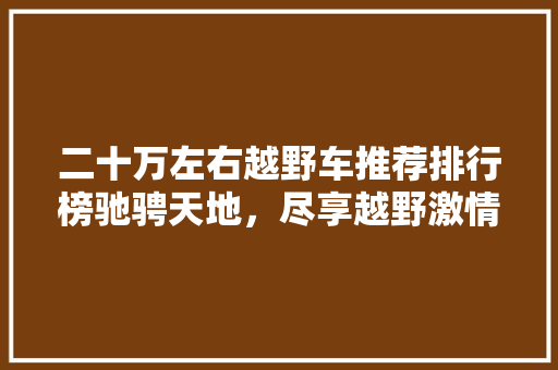 二十万左右越野车推荐排行榜驰骋天地，尽享越野激情