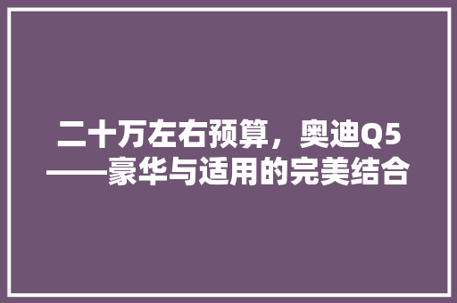 二十万左右预算，奥迪Q5——豪华与适用的完美结合