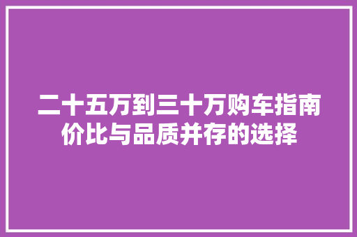 二十五万到三十万购车指南价比与品质并存的选择