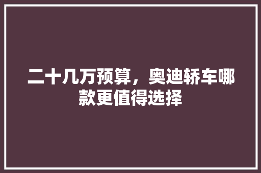 二十几万预算，奥迪轿车哪款更值得选择