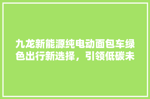 九龙新能源纯电动面包车绿色出行新选择，引领低碳未来
